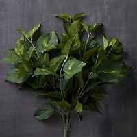 Pothos Bush Real Touch™ Collection by Ashland