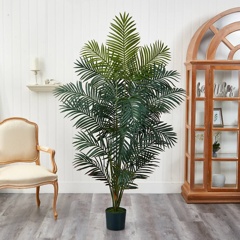 7ft. Potted Paradise Palm