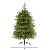 4ft. Pre-Lit Vancouver Fir Artificial Christmas Tree, Clear LED Lights