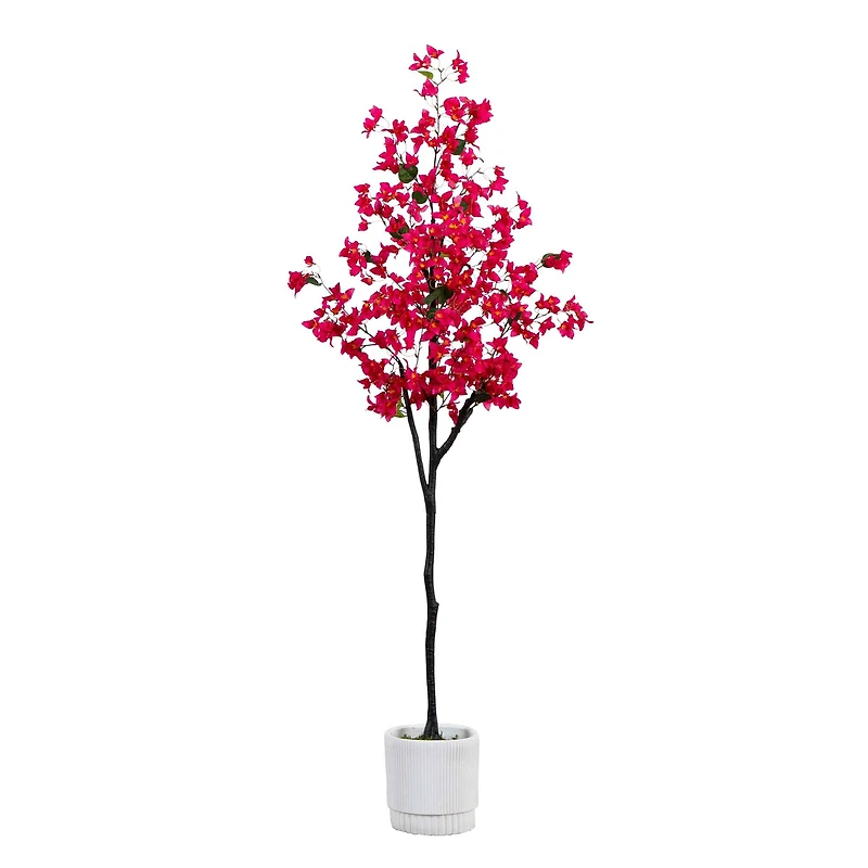 6ft. Bougainvillea Tree with White Decorative Planter