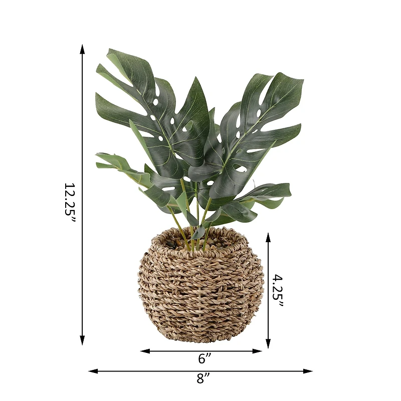 Flora Bunda® 6" Split Leaf In Basket