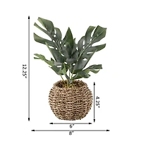 Flora Bunda® 6" Split Leaf In Basket
