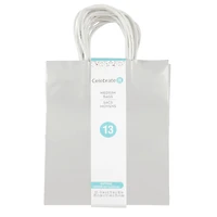 Medium Silver Gift Bag Value Pack by Celebrate It™