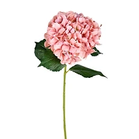 Pink Hydrangea Stem, 2ct.