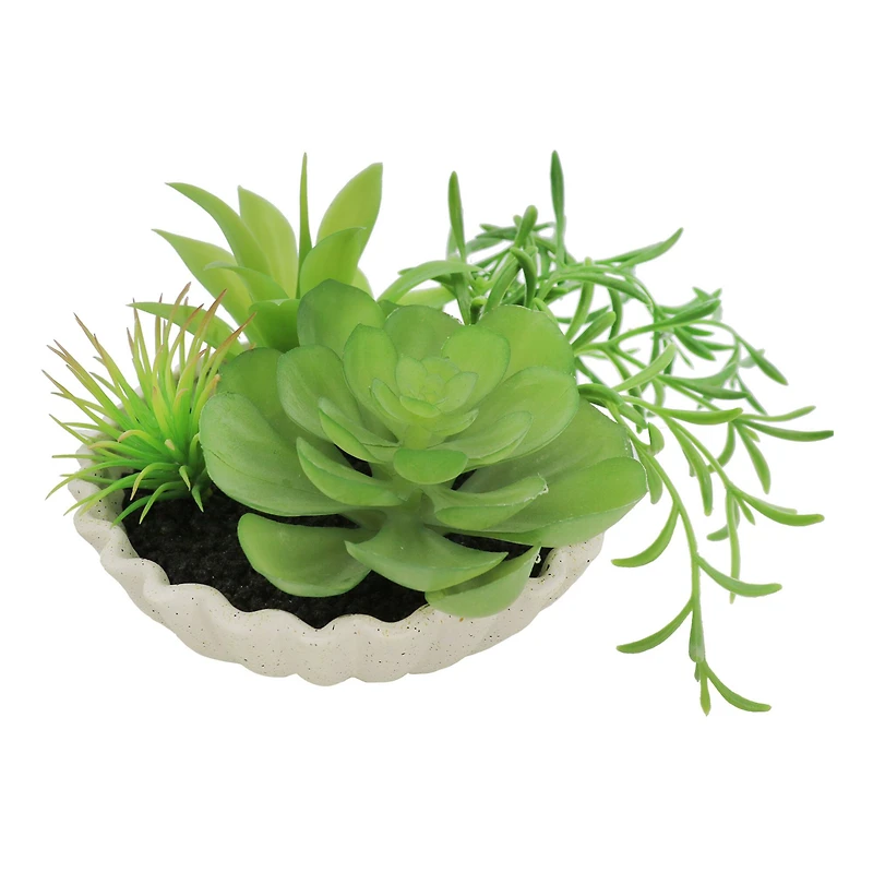 7" Premade Succulent Mix in Ceramic Ruffle Bowl by Ashland®