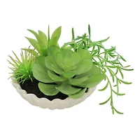 7" Premade Succulent Mix in Ceramic Ruffle Bowl by Ashland®