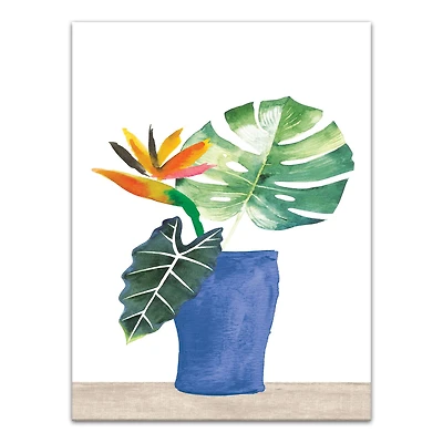 Birds Of Paradise 12" x 16" Canvas Wall Art