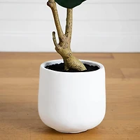 4ft. Artificial Lush Fiddle Leaf Tree in Decorative White Planter