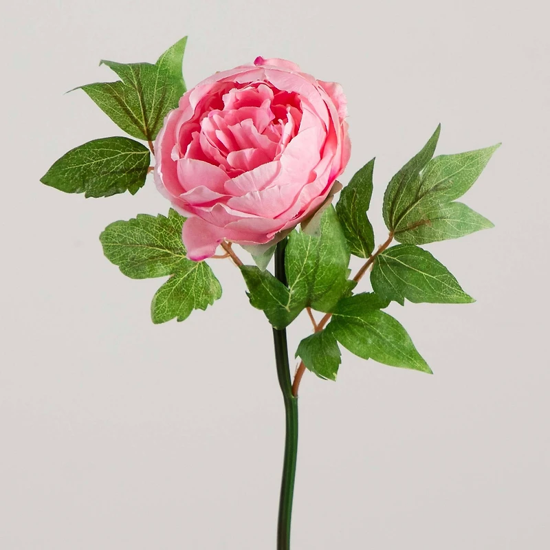 20" Pink Peony Flower Stems, 3ct.