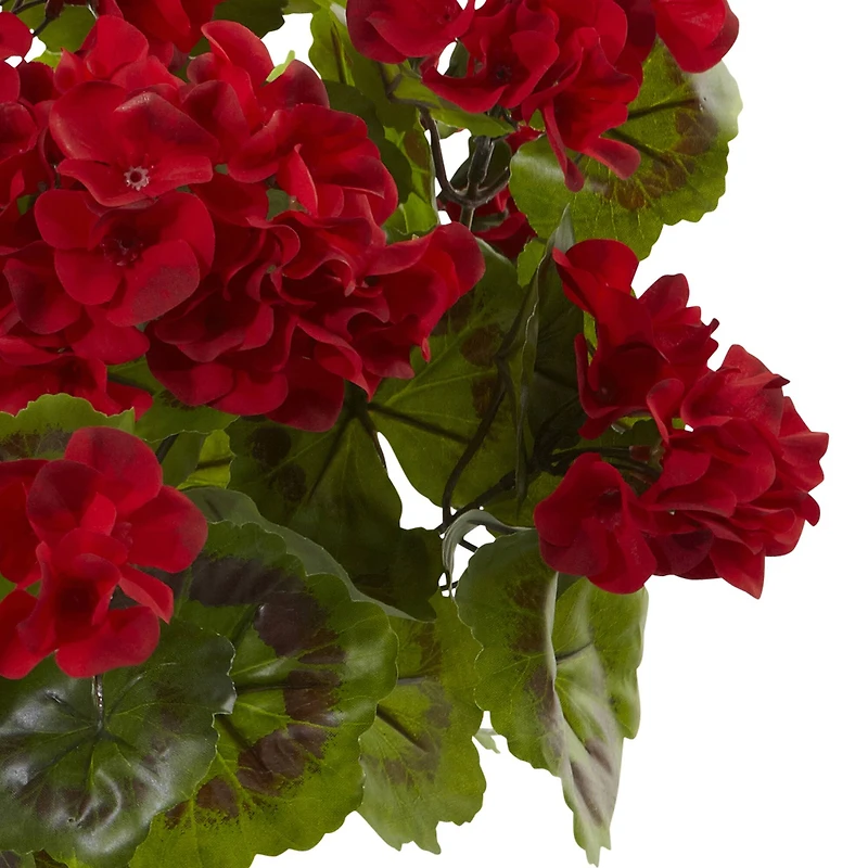 Red Geranium Bush, 3ct.