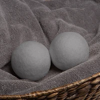 Woolite Gray 2 Pack Dryer Balls