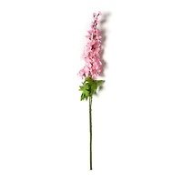 Pink Larkspur Stem by Ashland®
