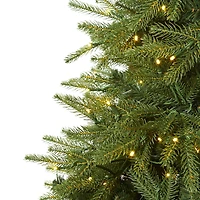 8ft. Pre-Lit Vancouver Fir Natural Look Artificial Christmas Tree with Clear LED Lights