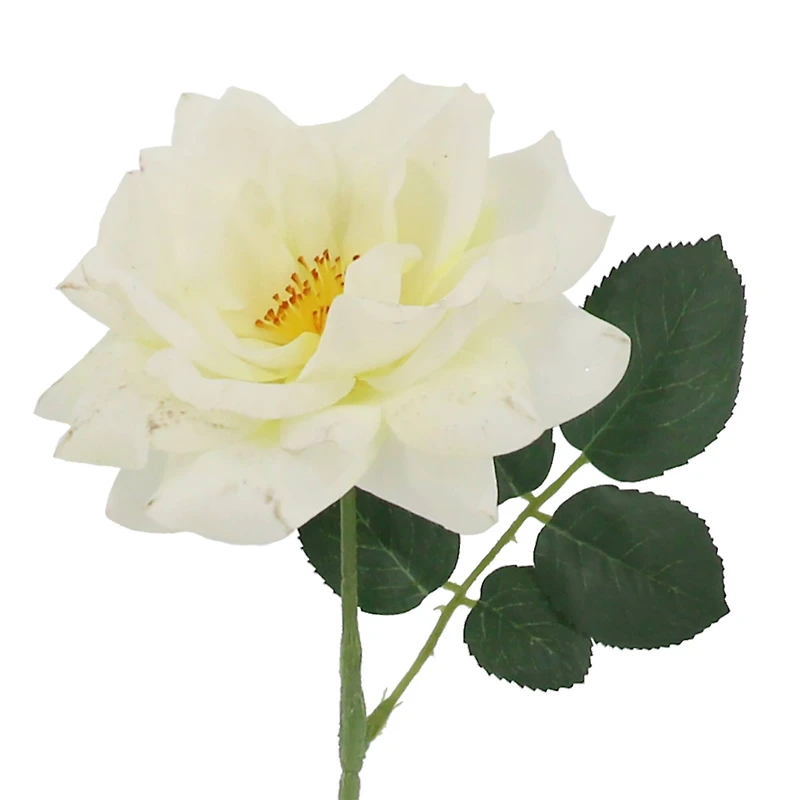 25" Cream Rose Real Touch Stem by Ashland®