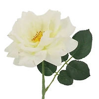 25" Cream Rose Real Touch Stem by Ashland®