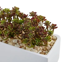 8'' Sedum Arrangement in White Planter