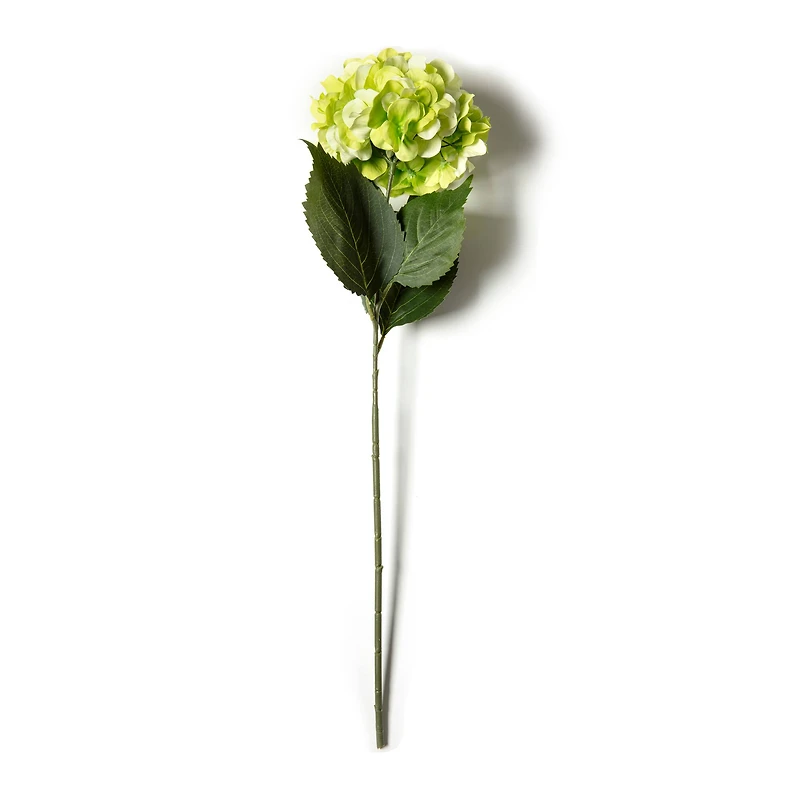12 Pack: Green Hydrangea Stem by Ashland®
