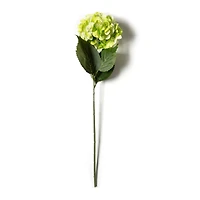 12 Pack: Green Hydrangea Stem by Ashland®