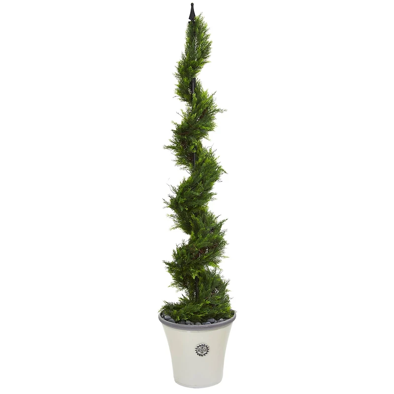 5.5ft. Cypress Spiral Tree in Decorative Planter