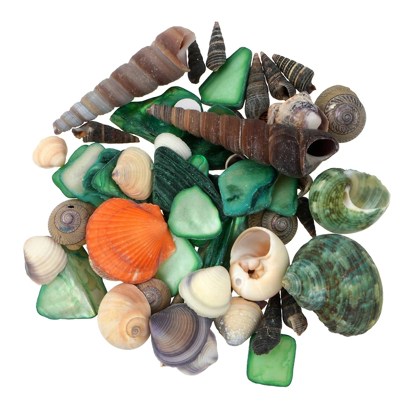 3.5oz. Dyed & Natural Shell Mix by Ashland®