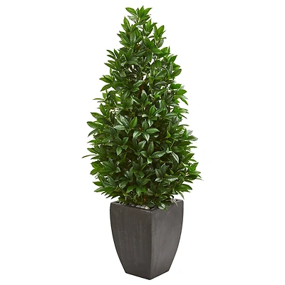 4.6ft. UV Resistant Bay Leaf Cone Topiary Artificial Tree in Black Planter