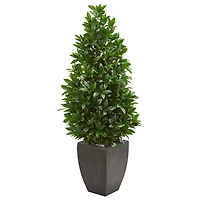4.6ft. UV Resistant Bay Leaf Cone Topiary Artificial Tree in Black Planter 