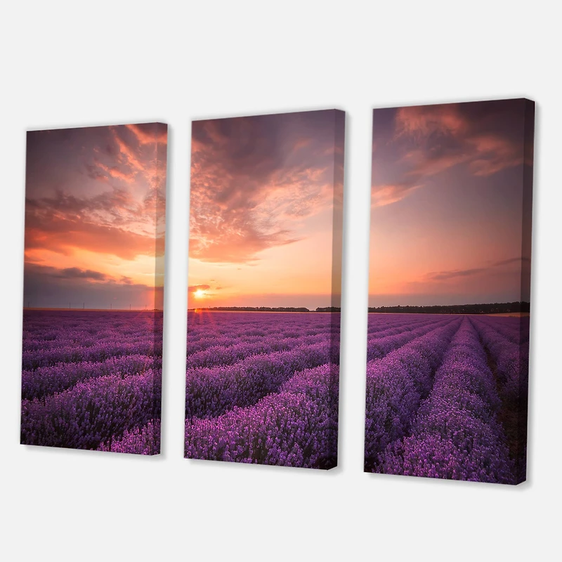Designart - Sunrise & Dramatic Clouds Over Lavender Field XII