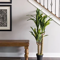 4.3ft. Potted Artificial Green & Yellow Dracaena Tree