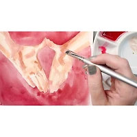 Silver Brush Limited Silverwhite® Brights Brush Set