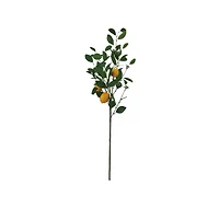 Hello Honey® Faux Lemon Tree Branch, Green