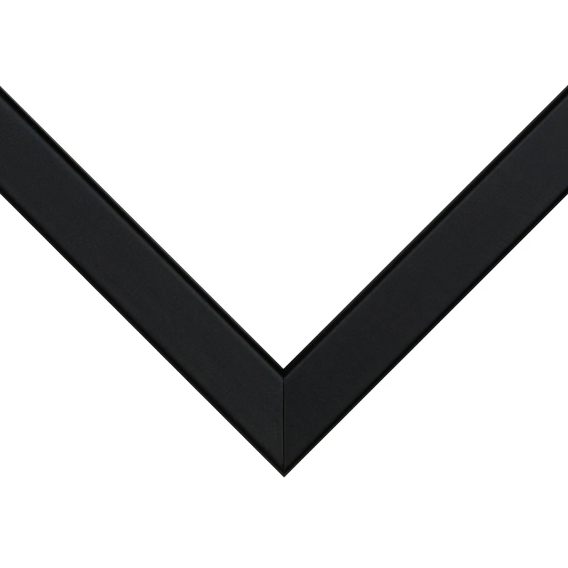 Frame USA TRUE Depth Black Single Image Picture Frame