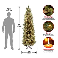 7ft. Pre-Lit Carolina Pine Tree with Flocked Cones Artificial Christmas Tree, Clear Lights