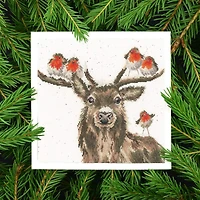 Bothy Threads Festive Friends Counted Cross Stitch Kit