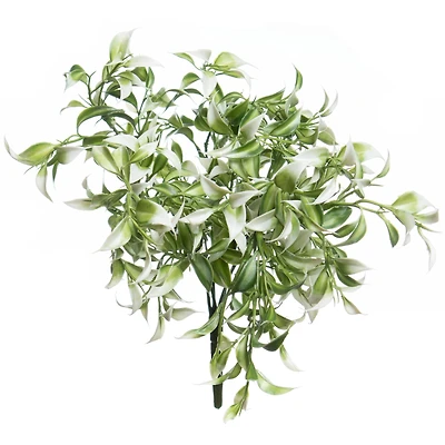 13" White Ruscus Bush by Ashland®