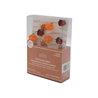 18ct. Warm White LED Fall Icon String Lights by Ashland®