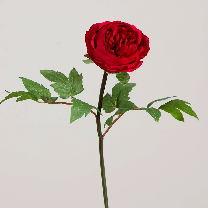 20" Red Peony Flower Stems, 3ct.