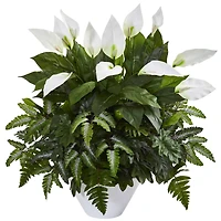 2.5ft. Mixed Peace Lily Plant in White Vase