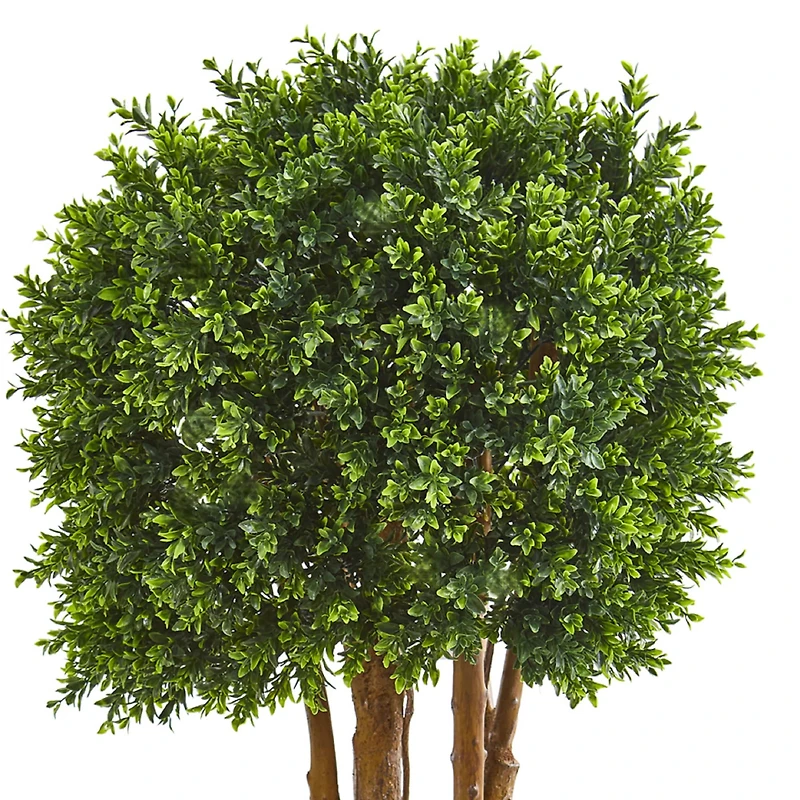 4.5ft. Boxwood Topiary Tree in Planter
