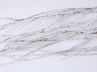 40" Dried Glitter Branch by Ashland