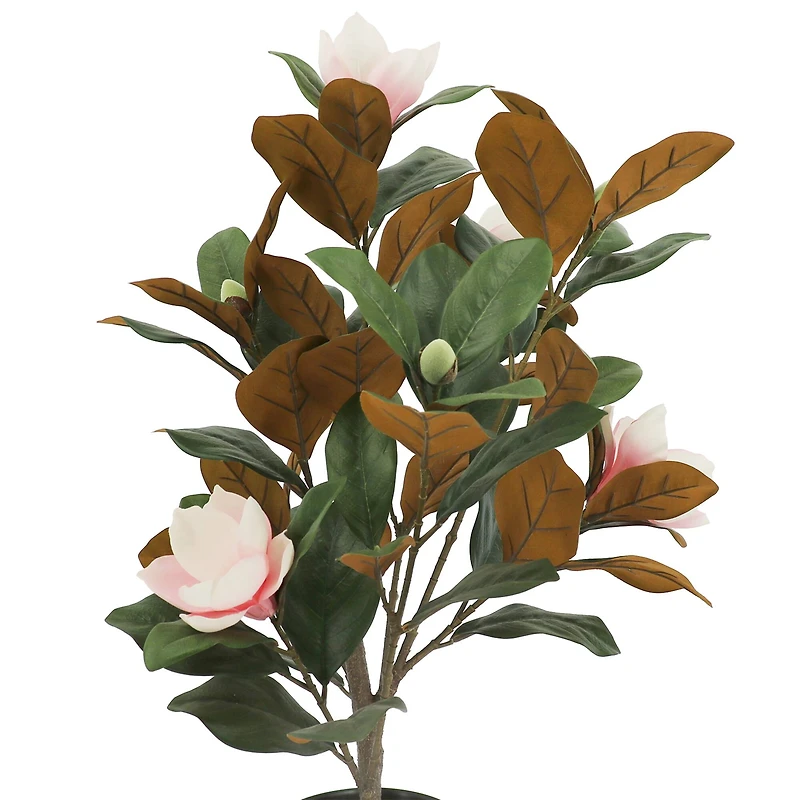 2.5ft. Potted Pink Magnolia Tree by Ashland®