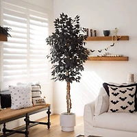 6ft. Artificial Halloween Black Ficus Tree with Natural Trunk