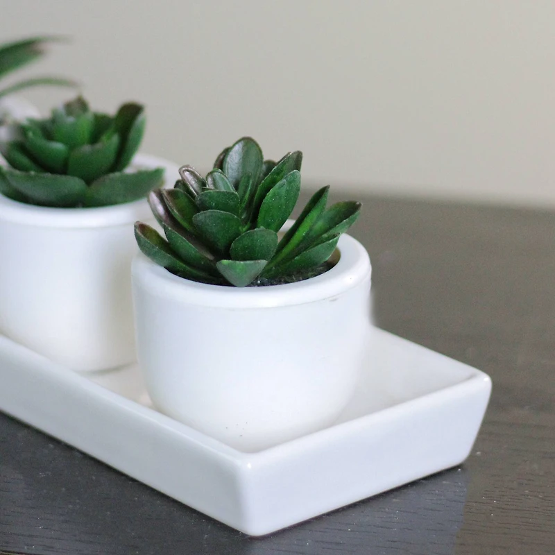 3" Decorative Succulent Planter with White Pot