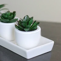 3" Decorative Succulent Planter with White Pot