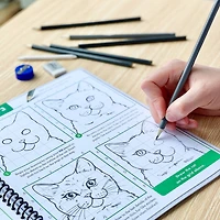 ArtSkills® Art Class Basics Learn to Draw Activity with Pencil Set