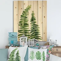 Designart - Fern Leaves Detail IV