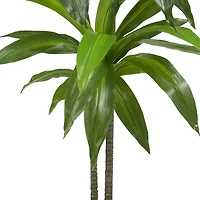 4ft. Dracaena Silk Plant 