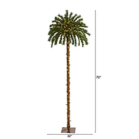 6ft. Pre-Lit Palm Artificial Christmas Tree, Warm White LED Lights