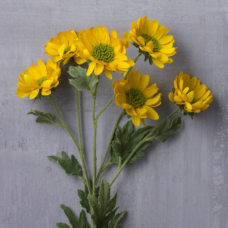 12 Pack: Gold Daisy Mum Spray by Ashland®