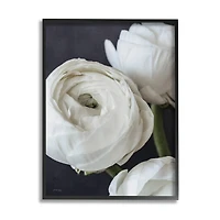 Stupell Industries Budding Ranunculus Flower Blooming Framed Giclee Art