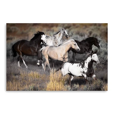 High Prairie Run Canvas Giclee